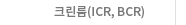크린룸(ICR, BCR)
